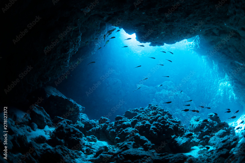 Below the ocean's surface is a dark cave. In the distance the light from he surface shines through. The fish and the coral are slightly visible in this dark cave, but the light adds in a color of blue. 