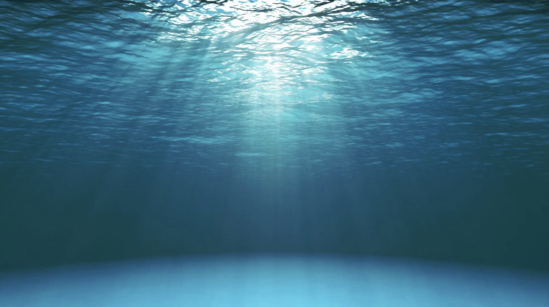 Below the ocean's surface there is nothing but open water. The light shining from the surface makes the blue water visible, but with nothing swimming in the distance it is empty. 