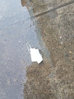 Discarded surgical mask on wet concrete