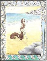 An illustration depicting the human form of a selkie, walking naked along the shore of a beach. There are seals depicted in the background, alluding to the fact that selkies are part seal. The illustration is framed by various nautical illustrations.