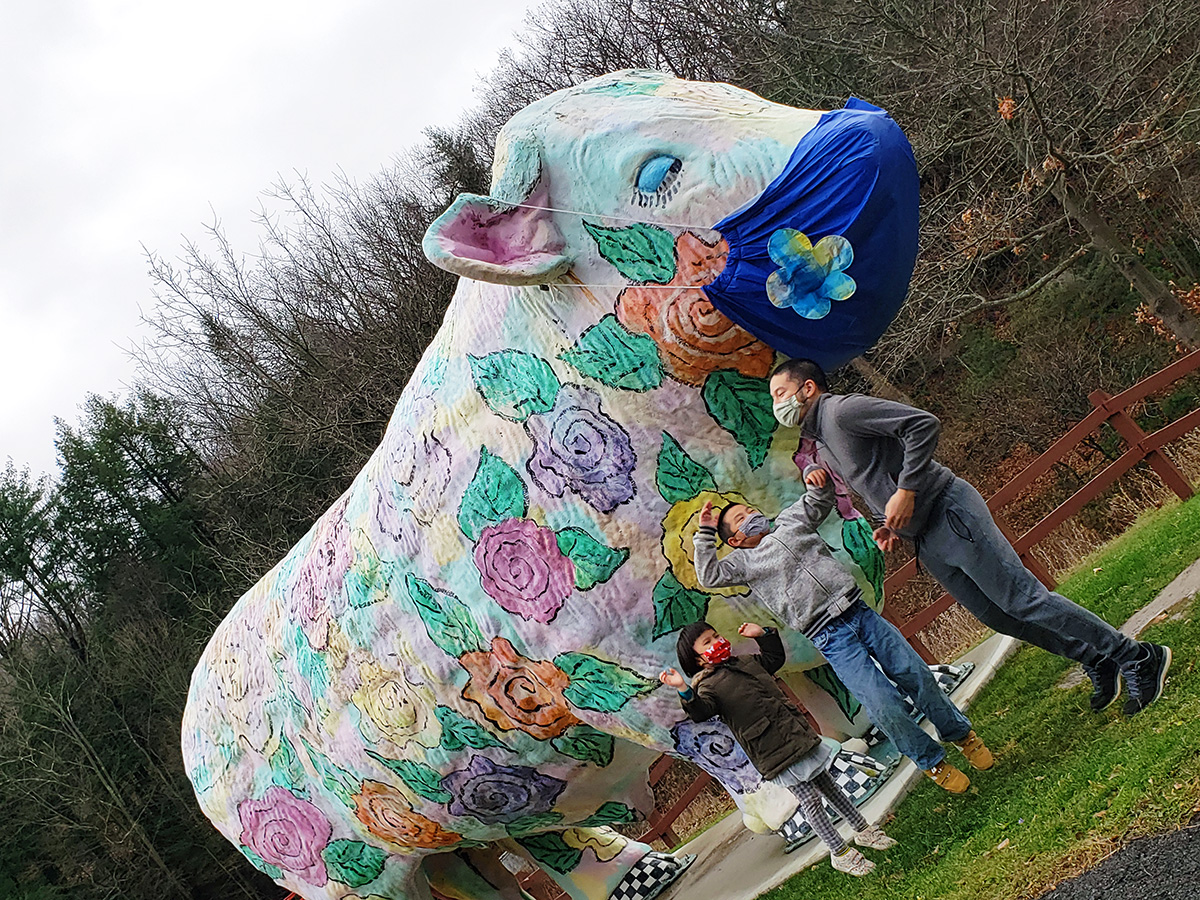 Cow in mask at Story Garden