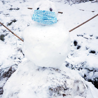 Little snowman with surgical mask on