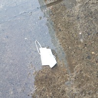 Discarded surgical mask on wet concrete