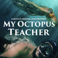 The front half of a man with scuba gear appears to be swimming on the bottom of the poster. 
Directly above him is an octopus. A kelp and sea plant forest surrounds the two figures.