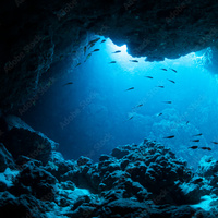 Below the ocean's surface is a dark cave. In the distance the light from he surface shines through. The fish and the coral are slightly visible in this dark cave, but the light adds in a color of blue. 