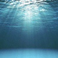 Below the ocean's surface there is nothing but open water. The light shining from the surface makes the blue water visible, but with nothing swimming in the distance it is empty. 