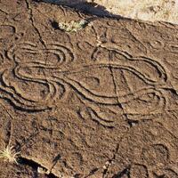 The image is of a petroglyph. It shows shapes and squiggled lines drawn into stone. The shapes resemble an octopus, with tentacles coming from the central body.