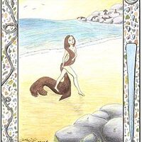 An illustration depicting the human form of a selkie, walking naked along the shore of a beach. There are seals depicted in the background, alluding to the fact that selkies are part seal. The illustration is framed by various nautical illustrations.